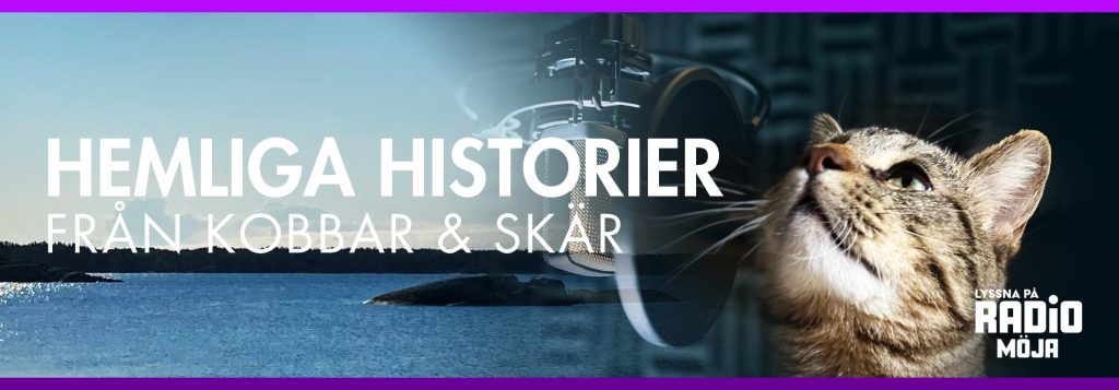 Hemliga historier