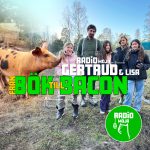 Från Bök till Bacon