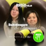 Dammsugare & Drömmar